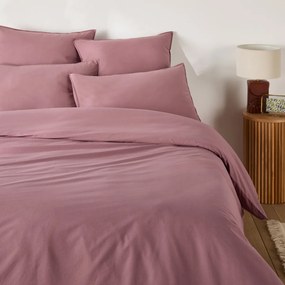 Παπλωματοθήκη από προπλυμένο βαμβάκι, Scénario