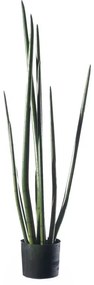 Supergreens Τεχνητό Φυτό Σανσεβιέρα "Cylindrica" Πράσινο 22x26x105 εκ.