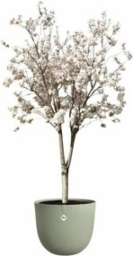 Βάζο Λουλουδιών Elho