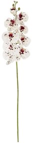 Τεχνητό Λουλούδι Orchid 21406 95cm White GloboStar Πολυαιθυλένιο