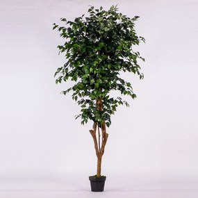 Supergreens Τεχνητό Δέντρο Φίκος 195 εκ. - Πολυαιθυλένιο - 0240-6