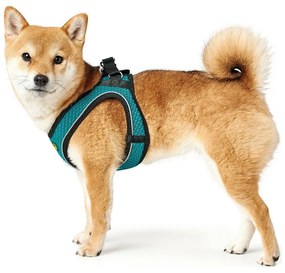 Λουρί Σκύλου Hunter Hilo-Comfort Τυρκουάζ XS/S (37-42 cm)