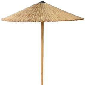 ΟΜΠΡΕΛΑ Ψάθινη Παραλίας Φ250cm Επαγγελματική Βαρέως Τύπου
