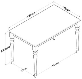 Τραπέζι Rosette καρυδί-ανθρακί 120x70x73.8εκ