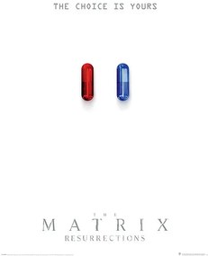 Αφίσα The Matrix: Resurrections - The Choice is Yours, (61 x 91.5 cm)