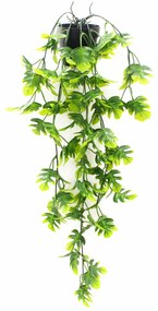 Supergreens Τεχνητό Φυτό Φίλόδενδρο Xanadu Πανασέ Πράσινο 64 εκ.