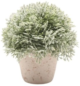 Τεχνητό Φυτό Σε Γλάστρα Κέδρος 832323 12,7x12,7x14cm Green-Beige Ankor Ceramic