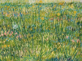Αναπαραγωγή A Patch of Grass - Vincent van Gogh, (40 x 30 cm)