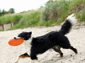 Φρίσμπι Trixie TPR Ø 18 cm