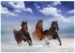 Φωτοταπετσαρία - Horses in the Snow 300x210