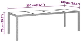 vidaXL Τραπέζι Κήπου Γκρι 250x100x75 εκ. Ψημένο Γυαλί/Συνθετικό Ρατάν