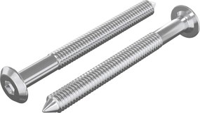 vidaXL Βίδες επίπλων 2 pcs Ασημί M6 x 60 χιλ. Ατσάλι