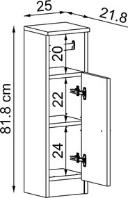 Ντουλάπι Μπάνιου με Θήκη Χαρτιού Υγείας 25x21x82 cm