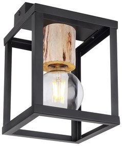 Φωτιστικό Οροφής Globo Lighting HAGAR 15476D