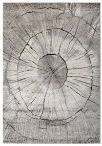 Χαλί (160x230) Tzikas Carpets Dorado 71717-295