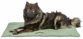 Mat Trixie Marley 110 × 75 CM Σκύλος