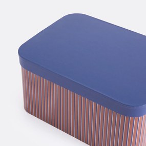 Σετ 2 αποθηκευτικά κουτιά με καπάκι, Donato