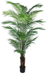 Plant in Pot CONCORAL Areca Luxe 4000863-GR