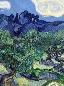 Αναπαραγωγή The Olive Trees (Portrait Edition) - Vincent van Gogh, (30 x 40 cm)
