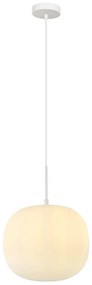 Φωτιστικό Οροφής 20125 1xE27 Max 40W Φ30cm Γυάλινο Οπάλ White Matt Metal, Glass