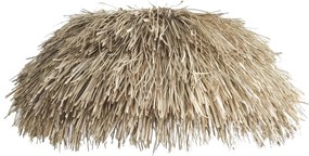 ΦΩΤΙΣΤΙΚΟ ΟΡΟΦΗΣ ΜΕ PANDAN ΚΑΙ MENDONG ΚΑΠΕΛΟ ΣΕ ΦΥΣΙΚΟ HM7778 Φ80Χ35Υεκ.