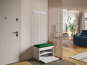 Παπουτσοθήκη Grawis-Prasino