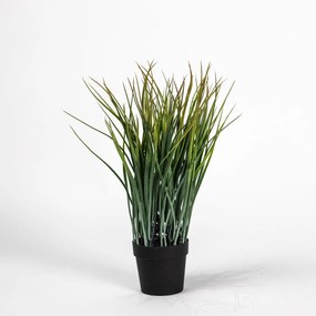 Supergreens Τεχνητό Φυτό Χορτάρι Πράσινο Σκούρο 40 εκ. - Πολυαιθυλένιο - 1970-6