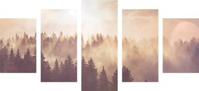 Εικόνα 5 μερών ομίχλη πάνω από το δάσος