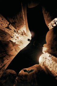 Αφίσα The Dark Knight Trilogy - Bat Wings, (61 x 91.5 cm)