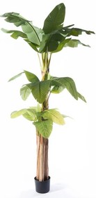 Supergreens Τεχνητό Δέντρο Μπανανιά "Musa" Πράσινο 170x160x280 εκ