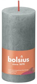 Bolsius Κεριά Κύλινδρος Ρουστίκ Shine 8 τεμ. Πράσινο Ευκ. 100 x 50 χιλ