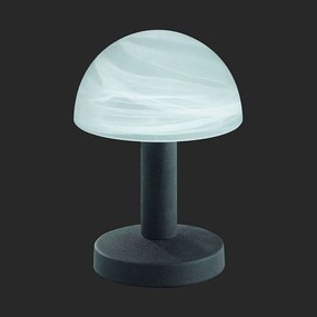 Φωτιστικό Επιτραπέζιο Fynn 21x15cm Rusty-White Brushed 599000124 Trio Lighting Metal, Glass