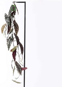 Τεχνητή Γιρλάντα Μπιγκόνια Maculata 1261-7 120cm Multi Supergreens Polyethylene