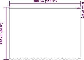 vidaXL Κουρτίνα Δαντέλας με κουρτίνες Λευκό 220 x 300 cm Πολυεστέρας