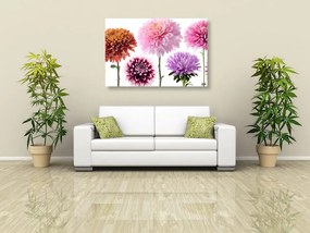 Εικόνα λουλούδια ντάλιας σε πολύχρωμο σχέδιο - 60x40