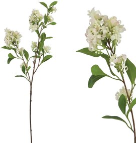 MarHome ΚΛΑΔΙ ΟΣΜΑΝΘΟΣ ΡΟΖ - Υ80cm 24/240ΚΙΒ  00-23306-4