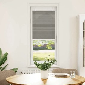 vidaXL Πλισέ περσίδα Ανθρακί 40x100 cm Πλάτος υφάσματος 39,4 cm