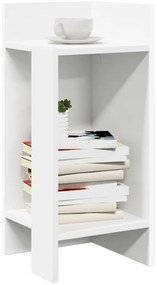 vidaXL Πλαϊνά Τραπεζάκια 2 τμχ με ράφι Λευκό 25,5x27x60 cm