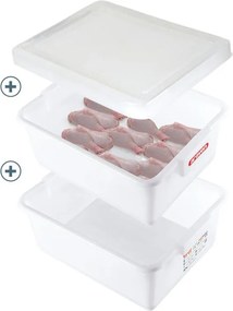 Δοχεία Απόψυξης Τροφίμων Σετ 3τεμ. 35lt - 540x385x292mm 01260 - Araven