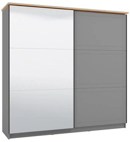 Ντουλάπα Valencia με Καθρέφτη 220 Γκρί - Artisan Oak - Γκρί Μάτ 220x62.5x214 εκ. 220x62.5x214 εκ.