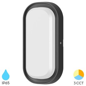Φωτιστικό Επίτοιχο Braytron BC18-00381 Μαύρο Ματ (Black Mat) CCT3