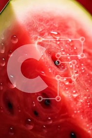 Σετ των 2 Intra Συλλεκτικό Ξύλινο Παζλ Plywood  4mm - Φρέσκια φέτα καρπούζι με σταγόνες νερού Σε Ξύλινο Κουτί - Διαστάσεις: 10x10 cm – 25 κομμάτια