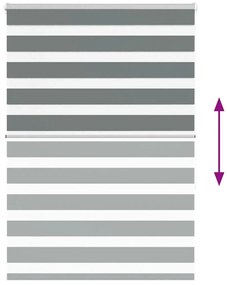 Ζέβρα τυφλή Σκούρο Γκρι Πλάτος υφάσματος 110,9 εκ. Πολυεστέρας - Γκρι