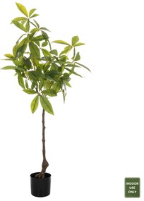 ΔΙΑΚΟΣΜΗΤΙΚΟ ΣΥΝΘΕΤΙΚΟ ΦΥΤΟ HM4018 ΠΑΧΥΡΑ ΜΕ ΓΛΑΣΤΡΑ 125Υ εκ.