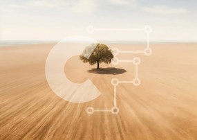 Intra Συλλεκτικό Ξύλινο Παζλ Plywood 4mm - Μοναχικό δέντρο στο αμμώδες πεδίο Σε Ξύλινο Κουτί - Διαστάσεις: 10x10 cm – 25 κομμάτια