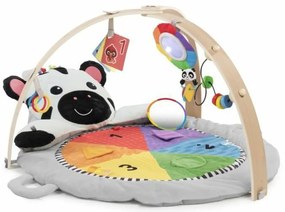 Παίξτε Mat Baby Einstein