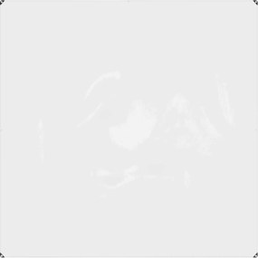 vidaXL Τarpuline Διαφανές 2 x 2 m PVC