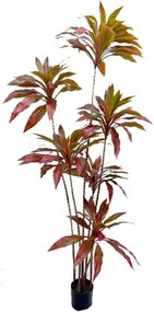 Τεχνητό Δέντρο Δράκαινα Cordyline 7590-6 175cm Brown Supergreens Πλαστικό