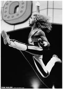 Αφίσα Van Halen - David Lee Roth 1980, (59.4 x 84.1 cm)