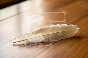 Intra Συλλεκτικό Ξύλινο Παζλ Plywood  4mm - Λευκό φτερό σε ξύλινο τραπέζι Σε Ξύλινο Κουτί - Διαστάσεις: 10x10 cm – 25 κομμάτια